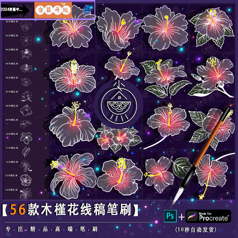 「木槿花」ps笔刷procreate笔刷 手绘植物鲜花草花卉学习绘画线稿