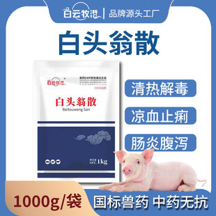 国标中兽药白头翁散兽用鸡鸭鹅猪牛羊鸽禽药清热解毒肠炎拉稀腹泻