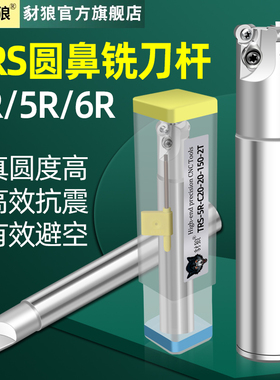 数控TRS圆鼻铣刀杆加工中心R4 R5牛鼻立铣刀杆R6抗震开粗飞刀杆