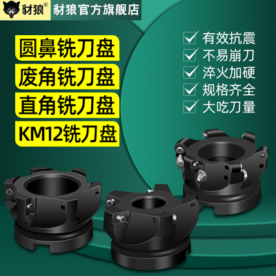 数控飞刀盘BAP300R/400R直角铣刀盘加工中心EMR5R 6R圆鼻面铣刀盘