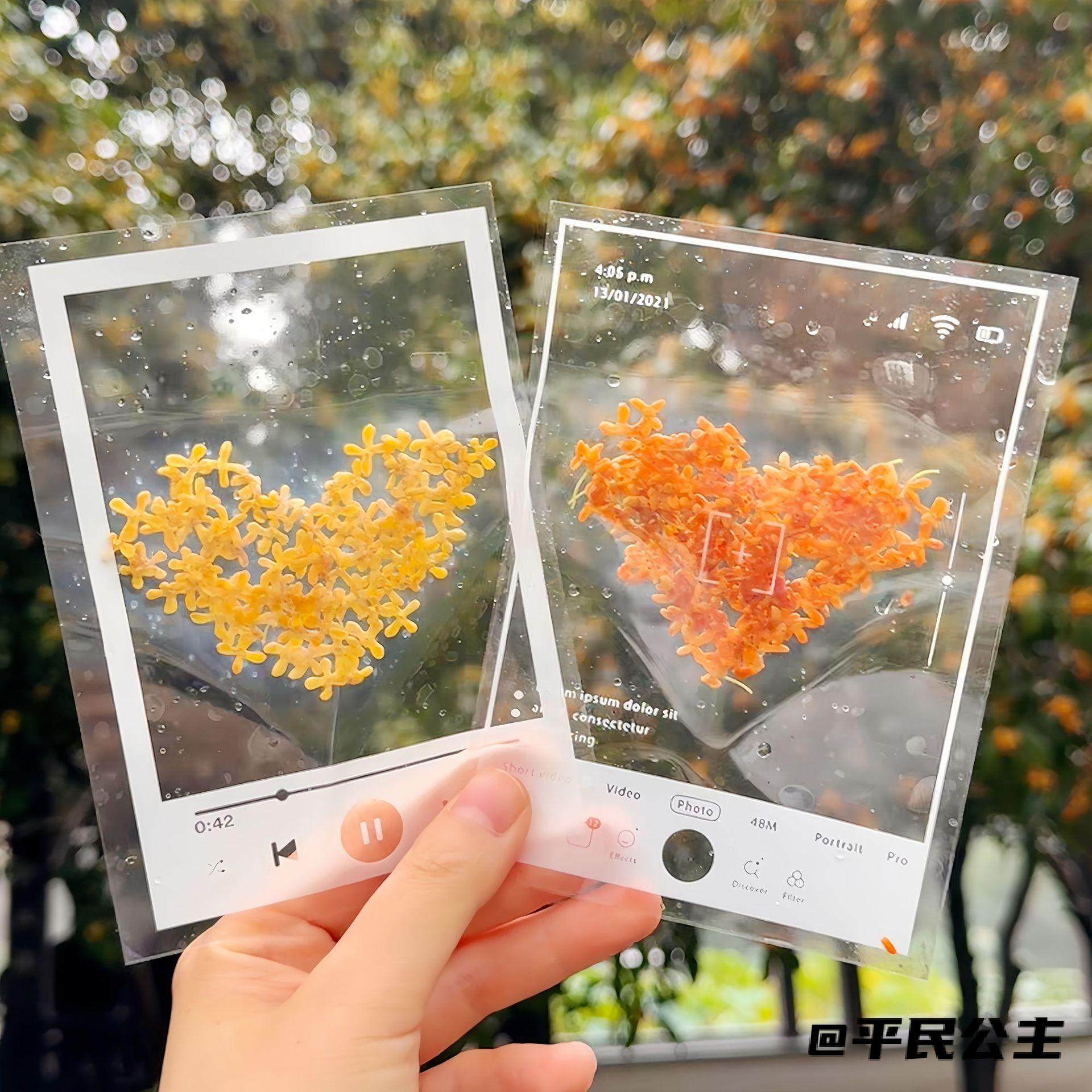 干花手工材料包自制多功能diy压花透明植物书签树叶桂花标本,家居饰品,干花/花瓣/干花包/干树枝,淘宝优惠券,粉丝福利购,淘宝优惠卷