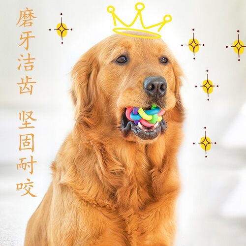 小中型犬小狗中大型玩具用品
