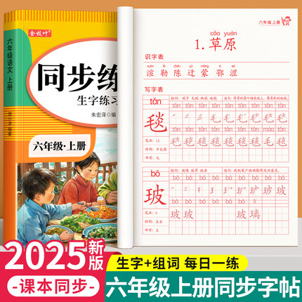 六年级上册练字字帖小学生专用语文同步练字帖下册人教版拼音描红本笔画笔顺每日一练钢笔写字表二类字练习写字帖硬笔书法每日打卡