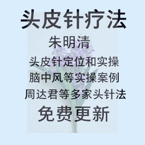 朱氏头皮针价格 朱氏头皮针图片 星期三