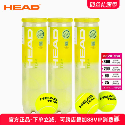 正品海德网球初学HEAD TEAM耐打练习专业比赛网球训练球4粒装高弹