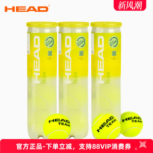 TEAM耐打練習(xí)專業(yè)比賽網(wǎng)球訓(xùn)練球4粒裝 高彈 海德網(wǎng)球初學(xué)HEAD 正品