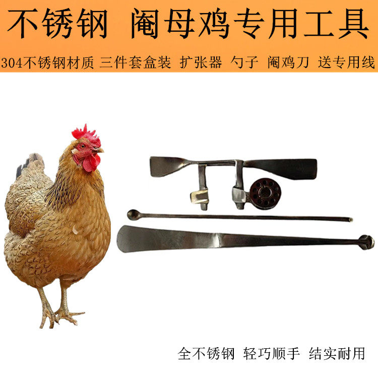 新款不锈钢阉鸡工具阉母鸡阉割刀小鸡阉割工具三件套送专用线盒子