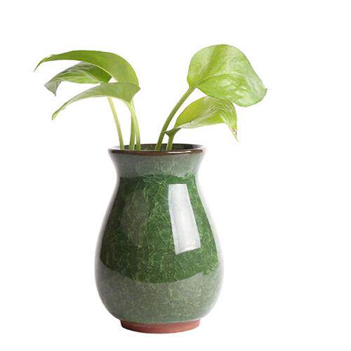 水培黄金葛花瓶花插铜钱草植物陶瓷花盆水培风信子花器室内桌面摆