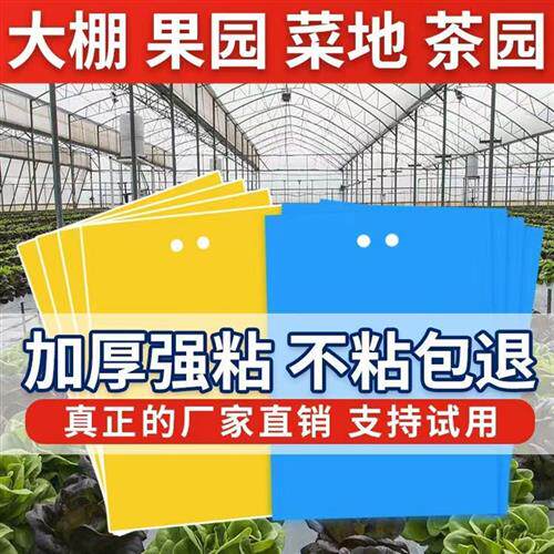粘虫诱虫板双面特粘农用粘虫板果园茶园花卉黄板蓝板针蜂蓟马果蝇
