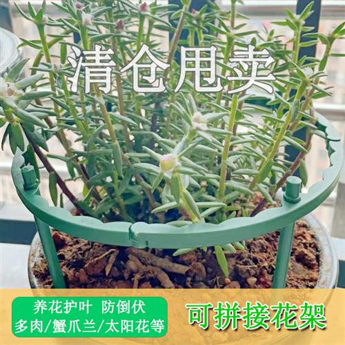 阳台花盆花支架蟹爪兰专用花架多肉向日葵支撑护叶月季吊兰花架子图片