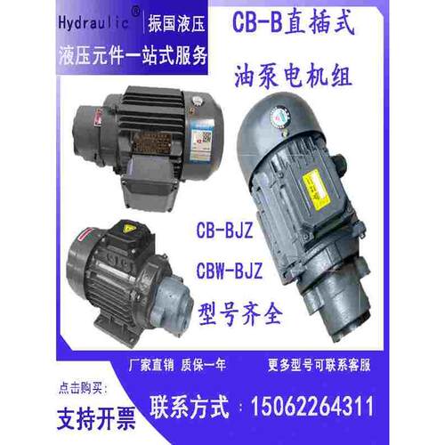 CBW-B10锯床齿轮油泵电机组CB-B4/CB-B6/CB-B10JZ循环润滑直插JZ