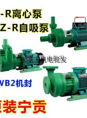 宁贡FSZ FS50*40-28R耐腐蚀增强塑料离心泵耐酸碱防腐泵化工泵4KW