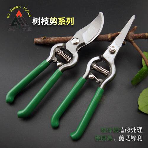沪广工具 8寸树枝剪果枝剪粗枝剪花木剪子修枝剪刀 园林园艺工具