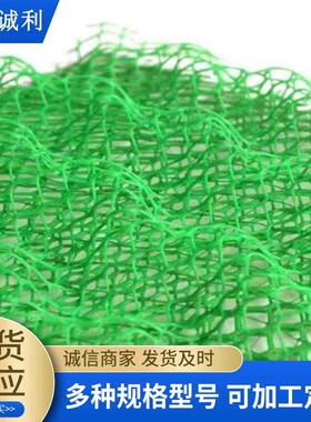 护坡三维植被网3层绿色植被三维网EM2边坡护坡网塑料防护网植被网