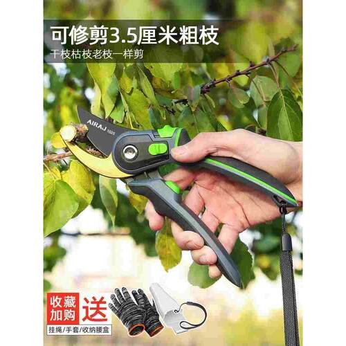 德国精工sk5花卉花剪园艺剪刀家用修花园林省力修枝专用修枝剪