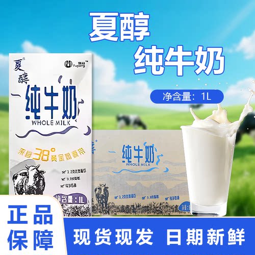 夏醇纯牛奶全脂牛奶1L*12瓶烘焙