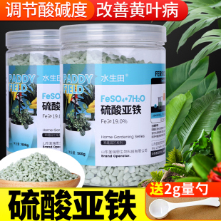 硫酸亚铁花肥土壤酸性改良家用茉莉发财树盆栽花卉绿植黄叶通用肥