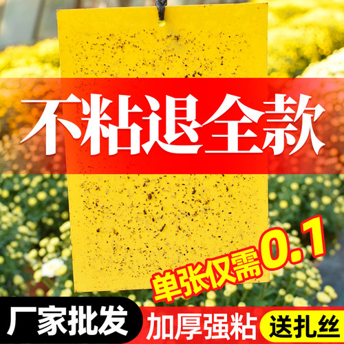 魔豆菜园粘虫板双面强粘