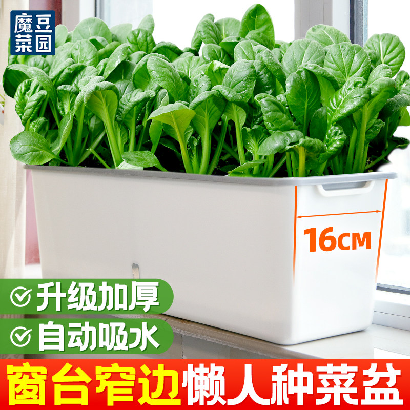 阳台种菜盆蔬菜种植专用箱超窄窗沿边长方形多肉花槽懒人花盆神器,鲜花速递/花卉仿真/绿植园艺,花盆,淘宝优惠券,粉丝福利购,淘宝优惠卷