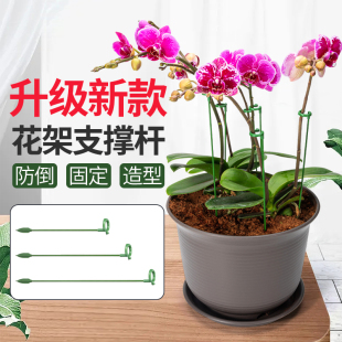 蝴蝶兰支架花架支撑杆专用防倒伏兰花支架杆植物造型家用固定架子