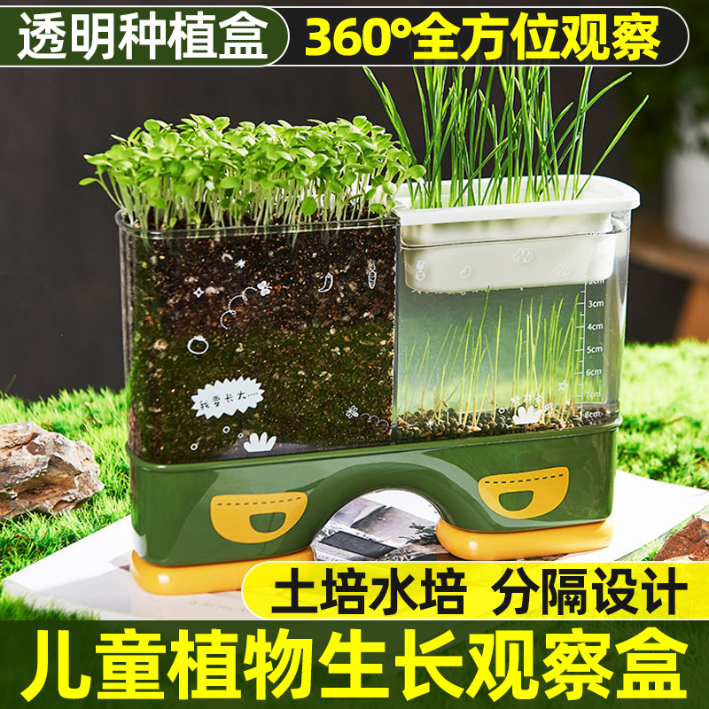 儿童种植小盆栽小农场发芽小植物小花农迷你小农场根系生长观察窗