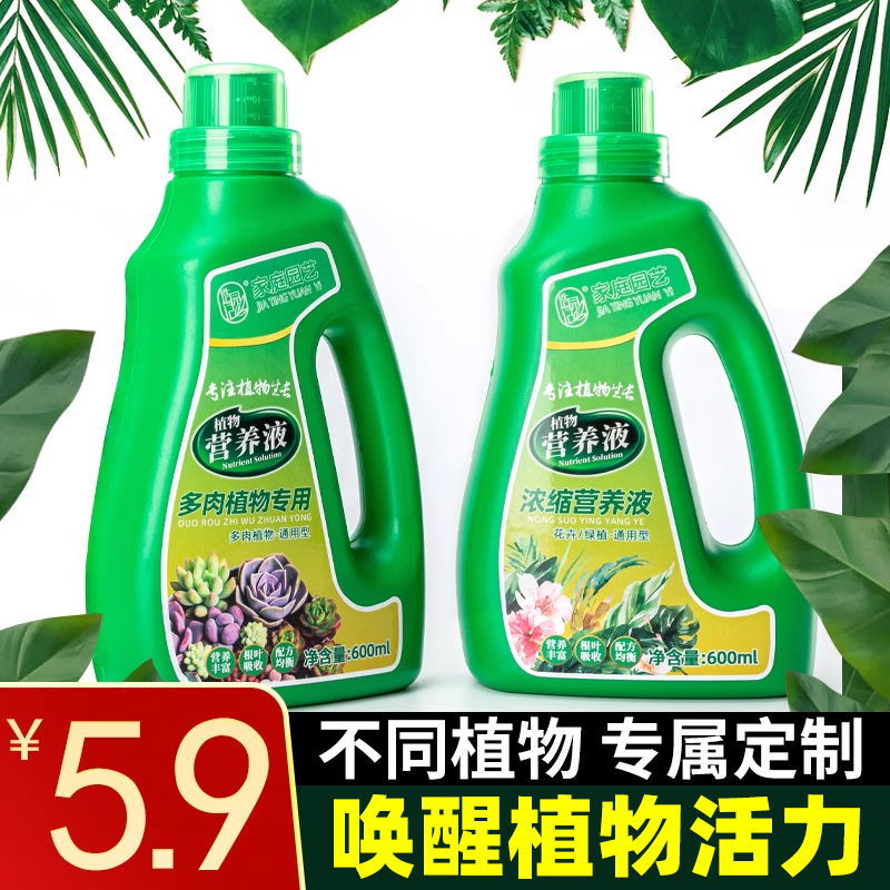 营养液植物通用型绿萝富贵竹多肉