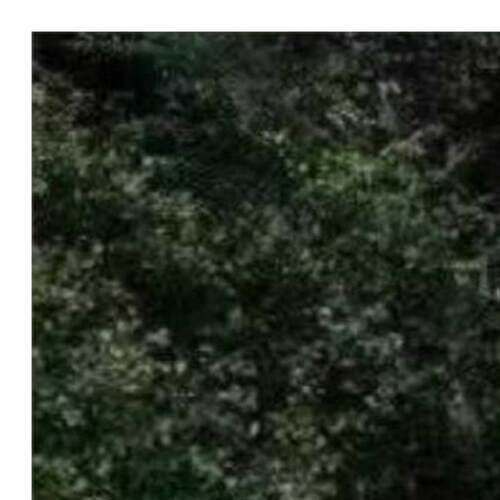 订做标识制作不锈钢彩绘大型户外广场动物造型景观雕塑创意