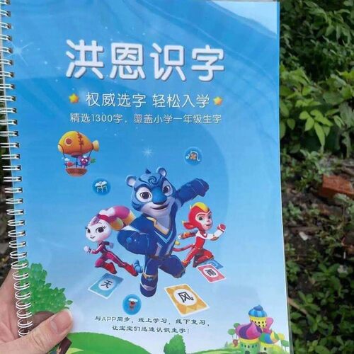 洪识字恩1300字同步APP打印版神器认字神器大全启蒙学前大班早教