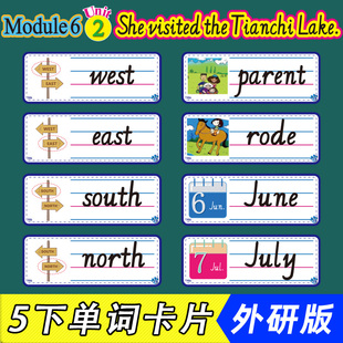 外研版小学英语五5年级下册单词卡片图教学板书黑板贴公开课教具