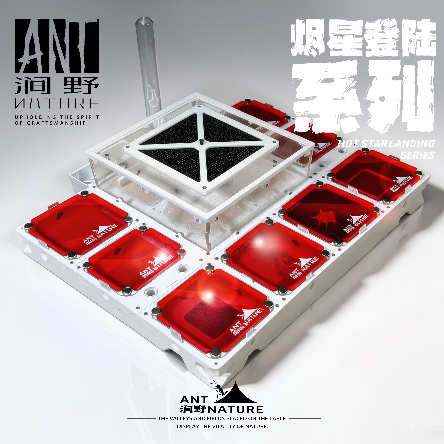 涧野自然蚁巢【高配款】无限拓展混凝土蚁巢收获蚁平面巢蚂蚁