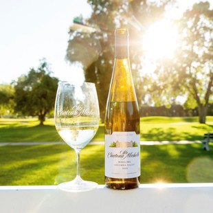 Ste 半甜白葡萄酒 Michelle 美国圣觅仙雷司令 山姆超市热销