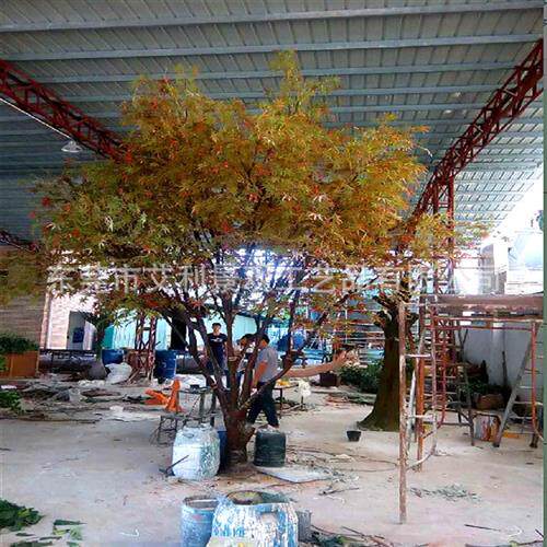 枫树出口阿拉伯大枝叉抗风大型绿植酒店休闲场所装饰摆设
