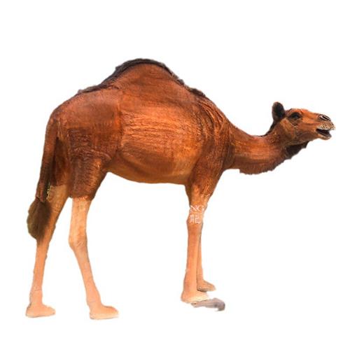 机械模型电动设计仿真动物大型工厂不夜城中庭新款创意摆件