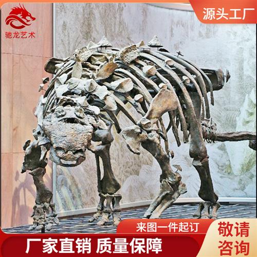 仿真甲龙骨架化石大型灭绝生物骨架模型定制动物骨骼展示模型