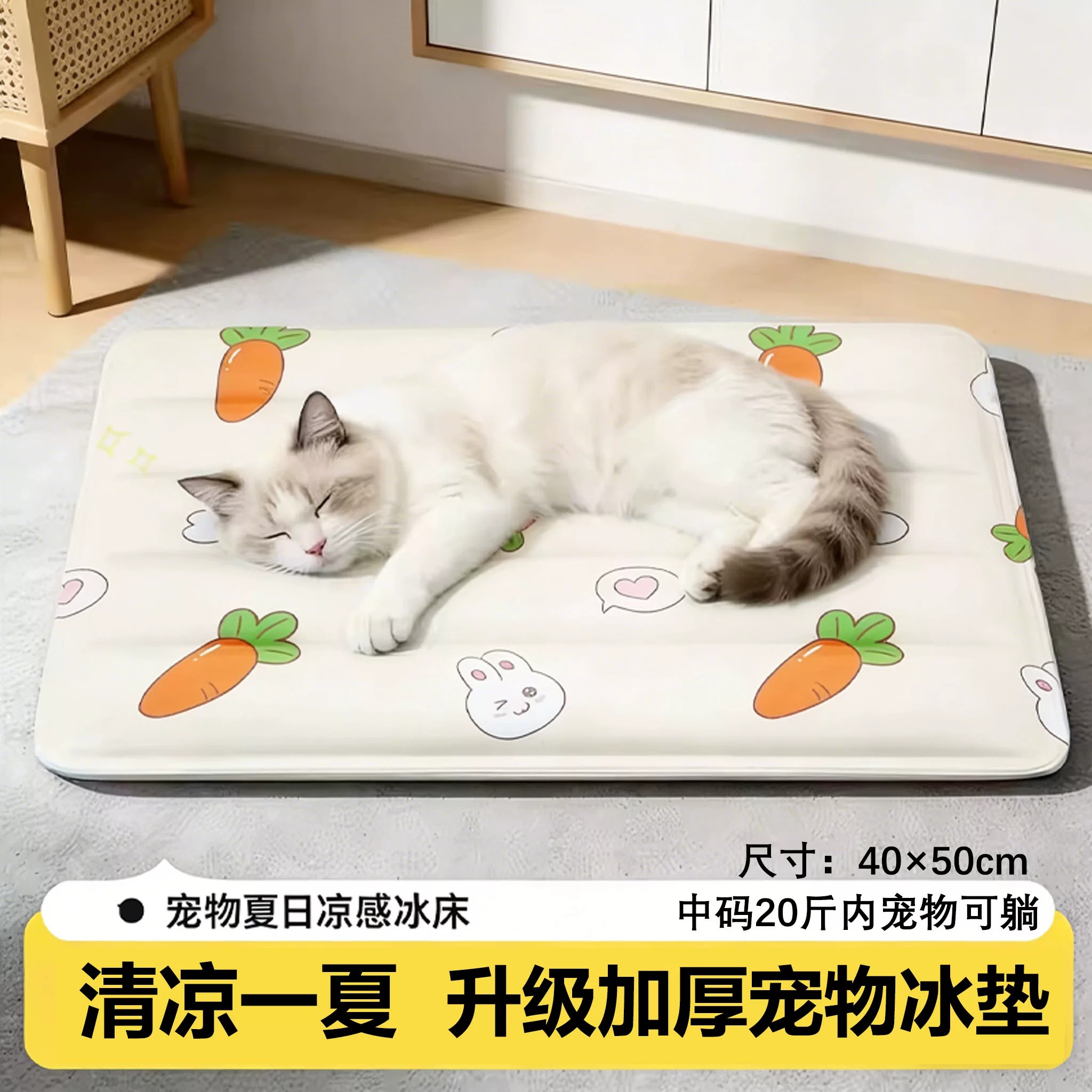 猫咪夏天用品睡垫宠物冰