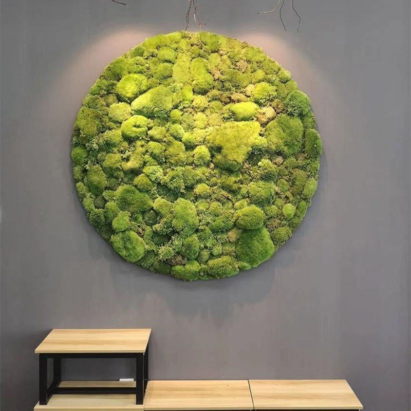 永生苔藓绿色造景仿真植物墙  仿真花/假花