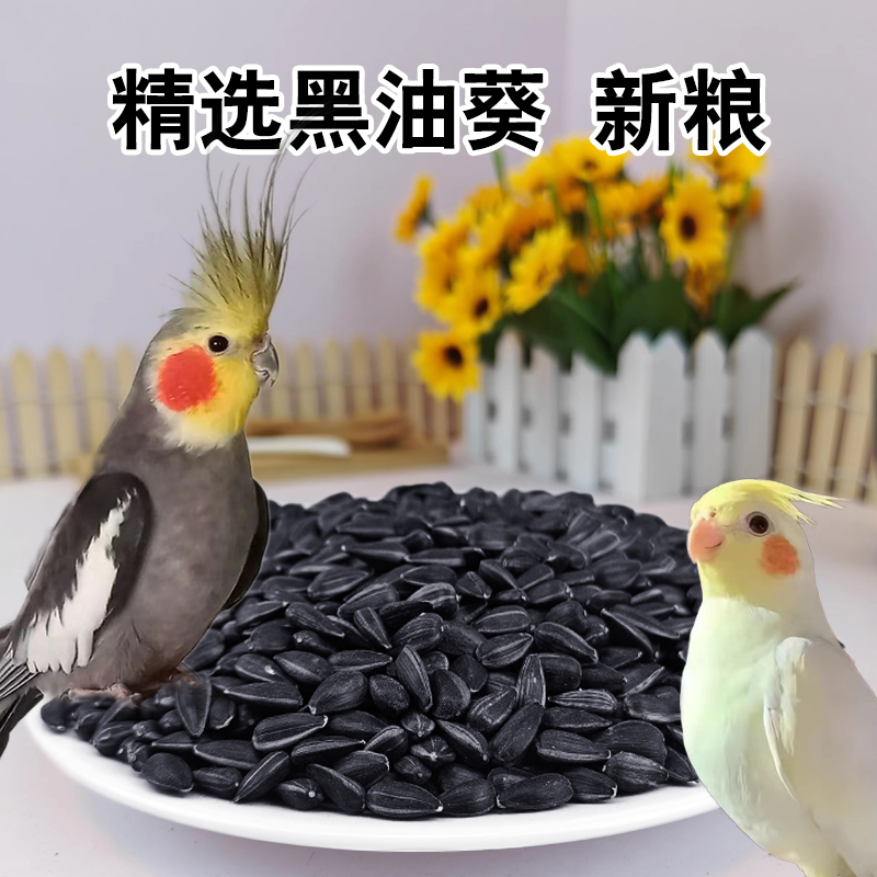 油葵小瓜子鸟粮仓鼠专用种子