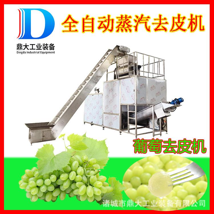 大型商用葡萄蒸汽去皮机地瓜红薯纯物理爆皮机工业