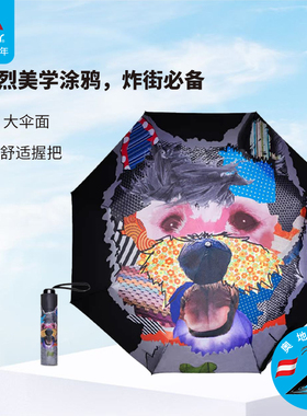 doppler雨伞进口伞涂鸦小众折叠伞小众高颜值女士抗风