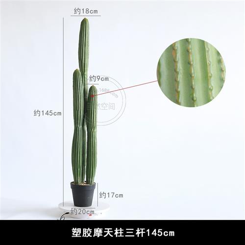 高仿真三杆仙人掌盆栽仿真仙人柱热带沙生植物摩洛哥风格景观摆件