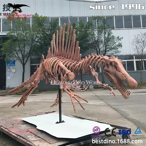 年大型仿真玻璃钢恐龙化石骨架仿真恐龙模型电影道具美陈