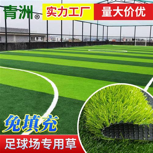 grass足球场人造草坪草皮免填充专业足球草人工假草室内球场