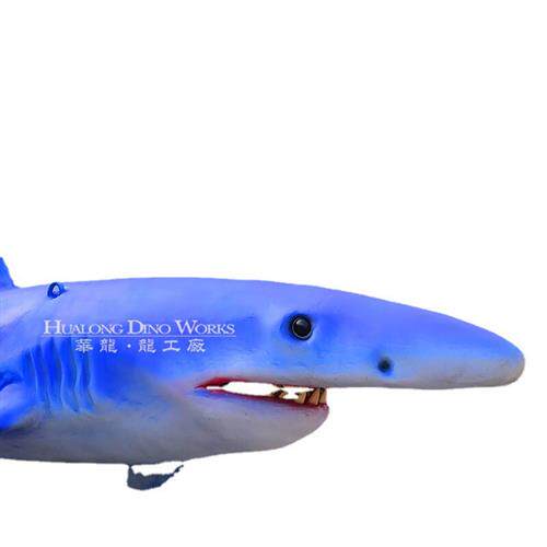 仿真海洋生物新款鲨鱼海洋动物海洋博物馆引流美陈展览