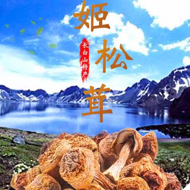 松茸 新货东北长白山特产松茸干货 姬松茸干松茸半斤蘑菇