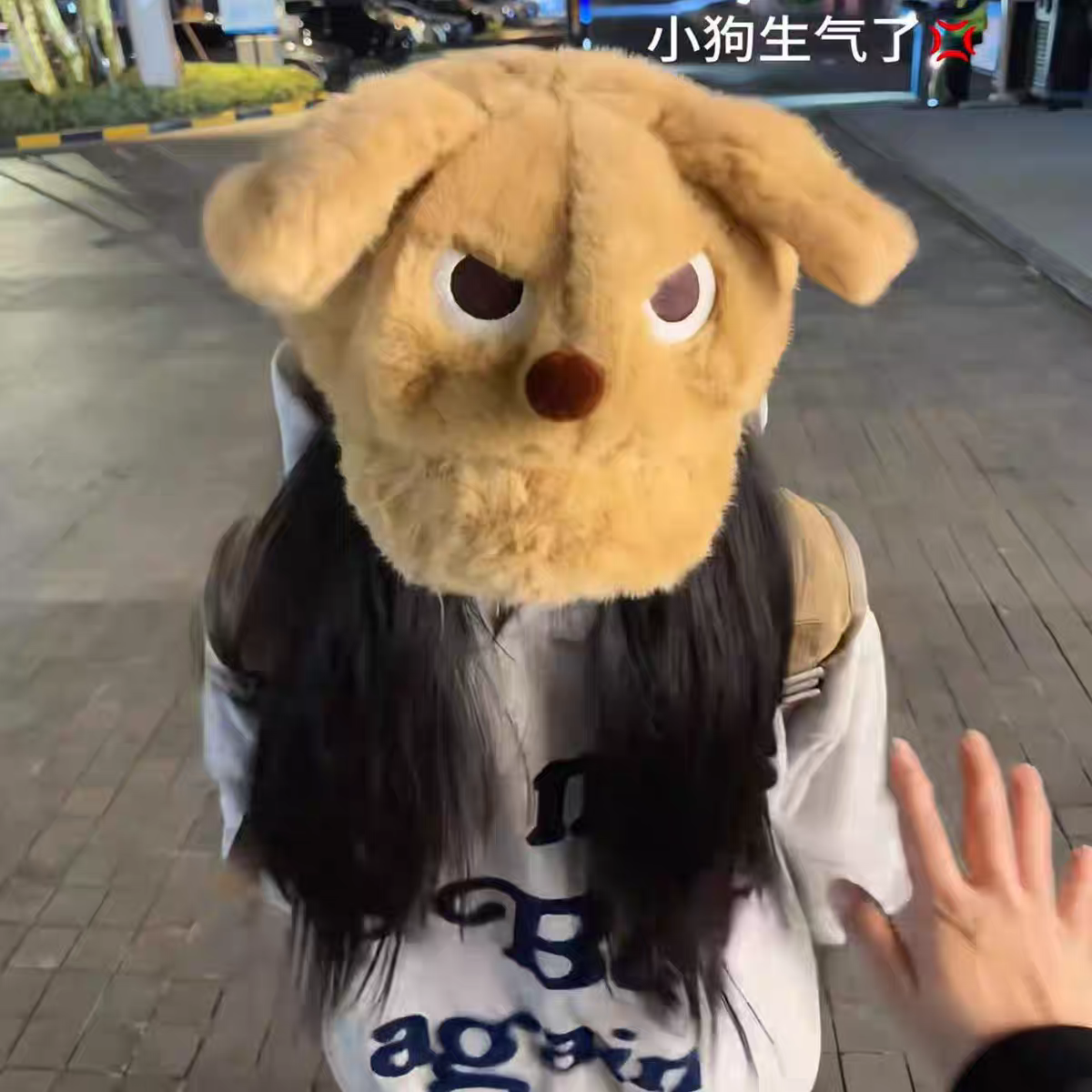 怒气可爱小狗狗毛茸茸耳朵贝雷帽女冬季保暖棕色毛绒大版棒球帽子