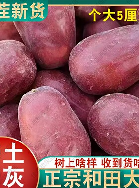 新疆红枣新枣新疆和田大枣灰枣正宗骏枣自然吊干土枣无添加原生态