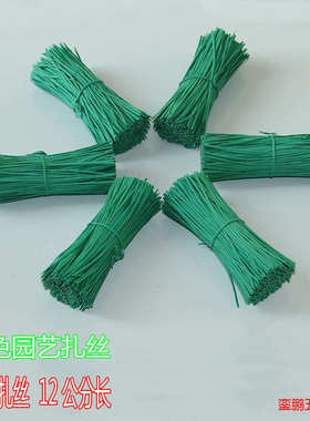 包塑绿色家庭园艺园林植物铁丝花木12cm铁芯带绑丝DIY扎扎线线扎