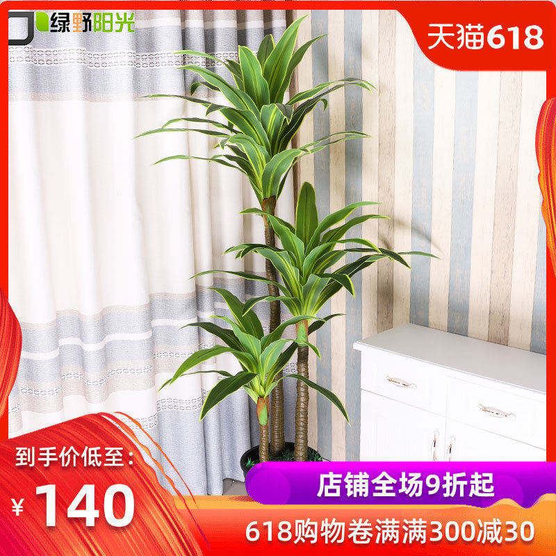 simulation Green plant Fake trees hotel Market to ground large decorate simulation Botany bonsai Decoration Brazilian iron Brazilwoodin the Flower delivery/Flowers simulation/Plants gardening , Artificial flowers/Plants/Finished fruits and vegetables (New) , Simulation plants  category - from Buy2taobao.com to provide professional Taobao agent buy service