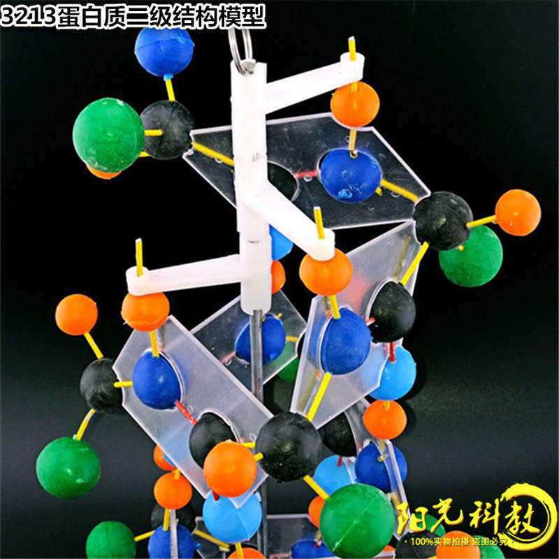 教学仪器 蛋白质二级结构模型 球棍式 生物实验器材 生物教学模型