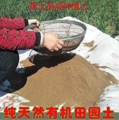 砂质土壤黄土养花种菜营养土种植腐植土花园阳台家用盆景树桩花卉